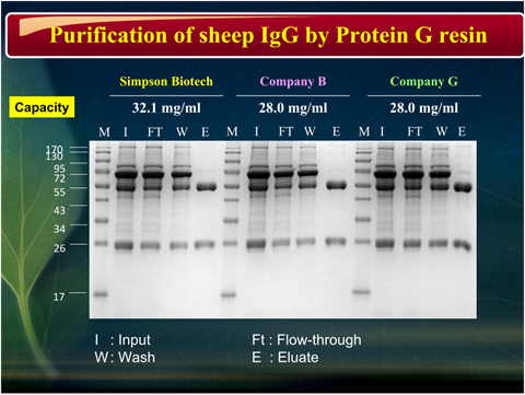 page-photo-recombinant-proteins-2