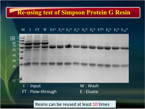 page-photo-recombinant-proteins-3