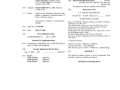SBC USA patent-5